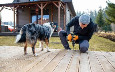 7 Pet Friendly Projects to Enhance Your Home’s Value