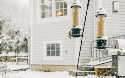 Flood Insurance Facts You Should Know Before Winter