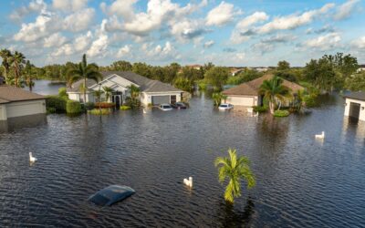 The Calm After the Storm: What to Do Next